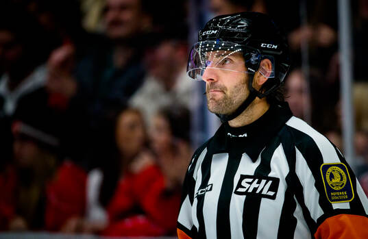 Domare Mikael Sjöqvist