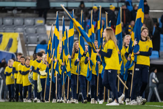Flag bearers of Sweden