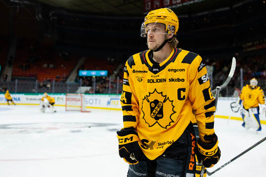 Skellefteås Jonathan Pudas