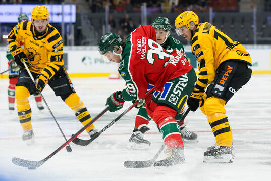 Frölundas Mikael Ruohomaa och Skellefteås Pär Lindholm