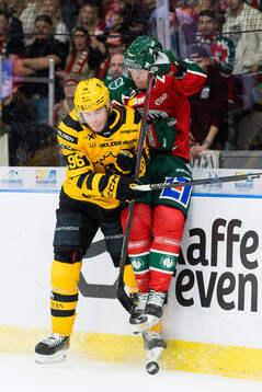 Skellefteås Rickard Hugg och Frölundas Tom Nilsson