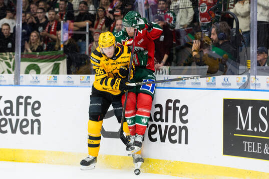 Skellefteås Rickard Hugg och Frölundas Tom Nilsson