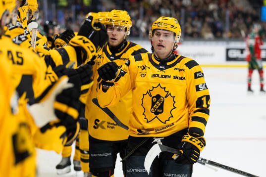 Skellefteås Andreas Johnson jublar