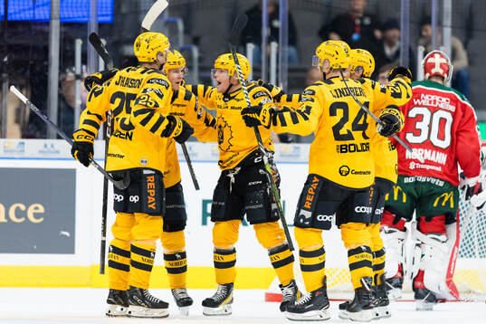 Skellefteås Andreas Johnson jublar