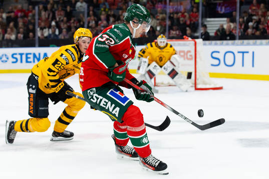 Skellefteås Pontus Johansson  och Frölundas Linus Högberg
