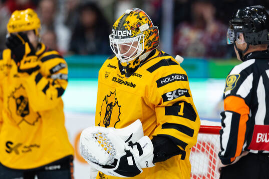 Skellefteås målvakt Alexander Hellnemo