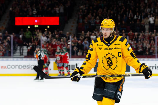 Skellefteås Jonathan Pudas deppar