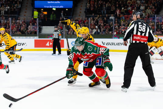 Skellefteås Pär Lindholm och Frölundas Mikael Ruohomaa