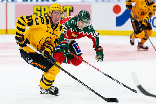 Skellefteås Max Lindholm