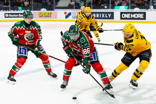 Frölundas Erik Thorell och Skellefteås Pär Lindholm