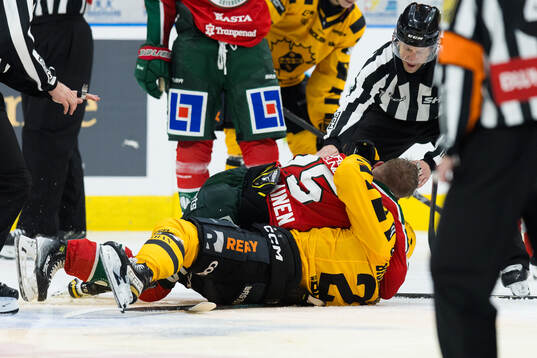 Frölundas Arttu Ruotsalainen och Skellefteås Michael