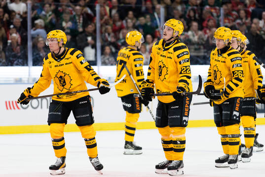Skellefteås Andreas Johnson och Jonathan Johnson deppar