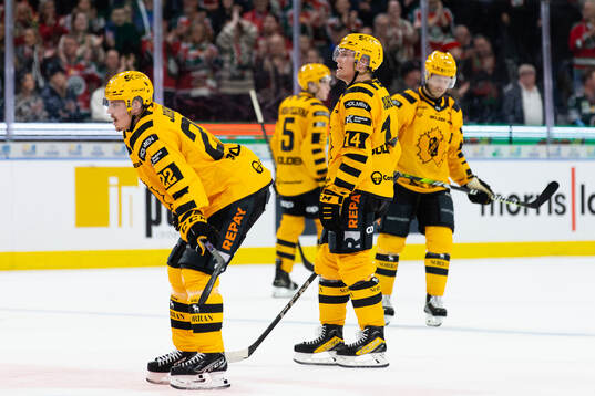Skellefteås Jonathan Johnson och Andreas Johnson deppar