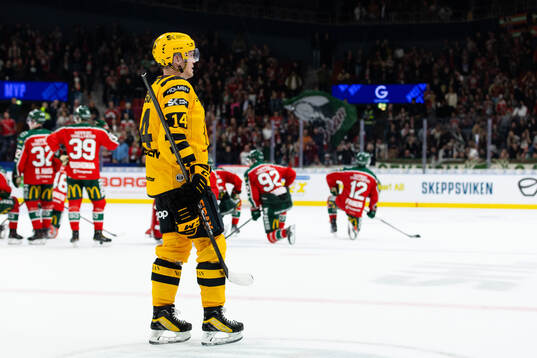 Skellefteås Andreas Johnson deppar