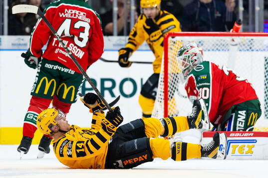Skellefteås Andreas Johnson jublar