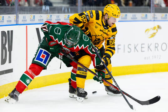 Frölundas Isac Born och Skellefteås Oskar Nilsson