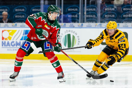 Frölundas Linus Högberg och Skellefteås Andreas Johnson