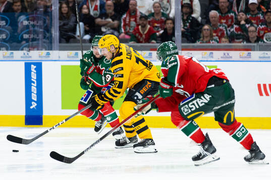 Skellefteås Pär Lindholm