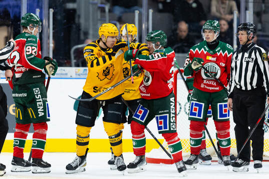 Skellefteås Michael Brandsegg-Nygård och Frölundas Arttu