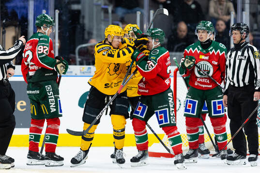 Skellefteås Michael Brandsegg-Nygård och Frölundas Arttu