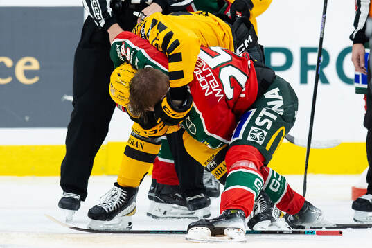 Skellefteås Michael Brandsegg-Nygård och Frölundas Arttu