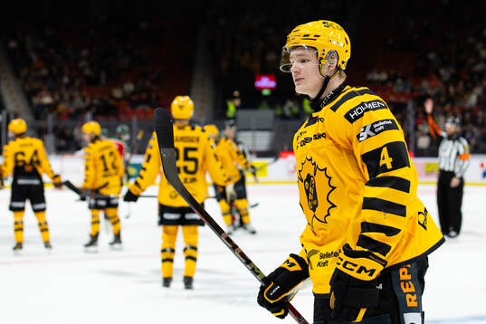 Skellefteås Rasmus Bergqvist