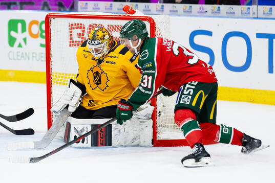 Skellefteås målvakt Alexander Hellnemo och Frölundas