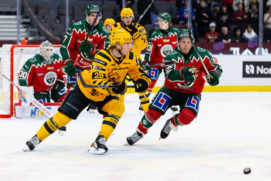 Skellefteås Michael Brandsegg-Nygård och Frölundas Max