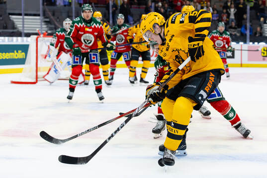 Skellefteås Axel Sandin Pellikka