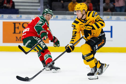 Skellefteås Michael Brandsegg-Nygård