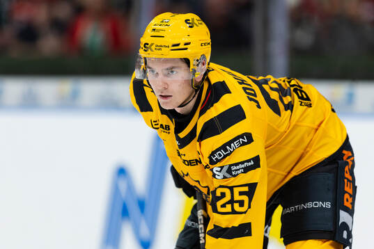 Skellefteås Pontus Johansson