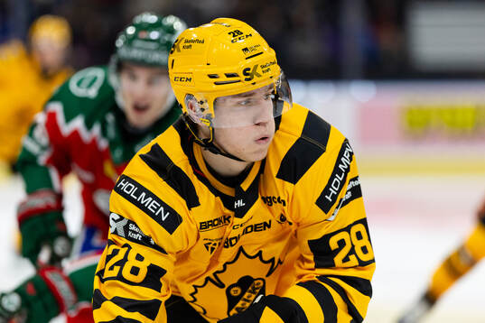 Skellefteås Michael Brandsegg-Nygård