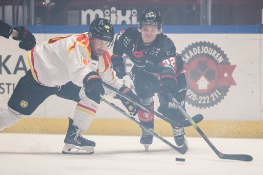 Brynäs Johan Larsson och Malmö Redhawks Joona Ikonen