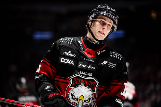 Malmö Redhawks Freddie Larsson
