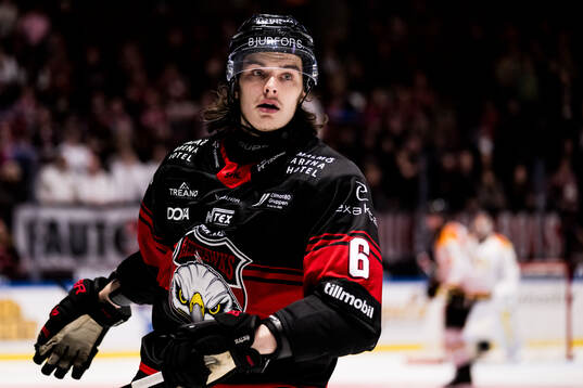 Malmö Redhawks Dominik Badinka