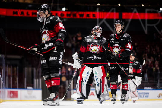 Malmö Redhawks målvakt Marek Langhamer och Freddie
