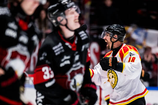 Brynäs Anton Rödin jublar