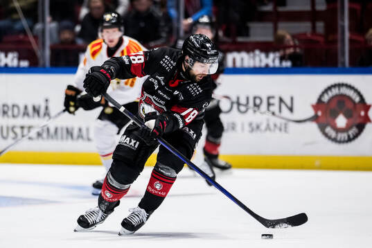 Malmö Redhawks Robin Hanzl