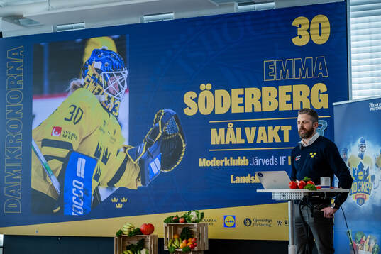 Head coach Ulf Lundberg of Sweden