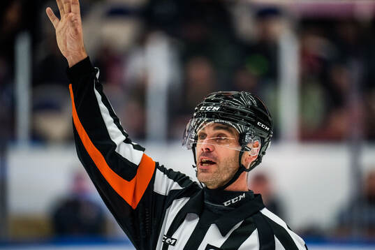 Domare Richard Magnusson