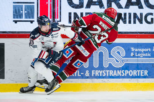 Linköpings Adam Hofbauer och Modos Tobias Winberg