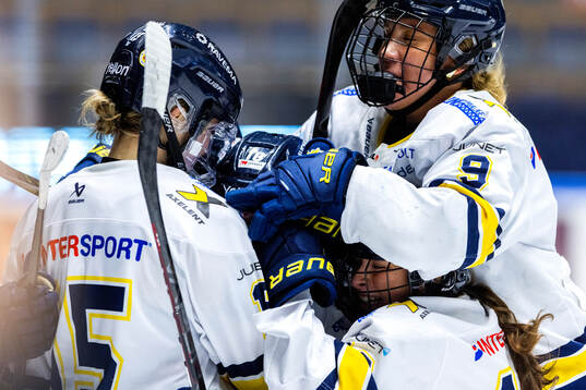 HV71s spelare jublar