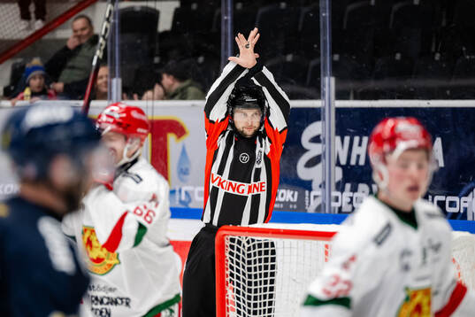 Domare Alex Eriksson