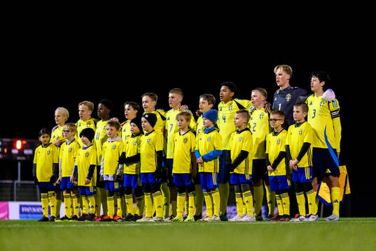 Players of Sweden at line up