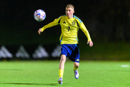 Niko Grgic Sallanto of Sweden