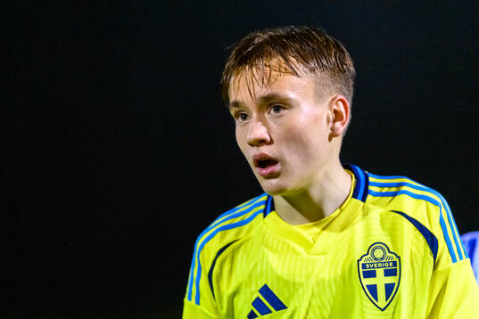 Nikolas Jovanovic of Sweden