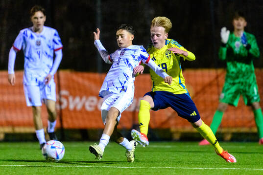 Ajdin Krsalk of Norway and Pontus Eriksson of Sweden