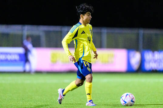 Haami Najafi of Sweden