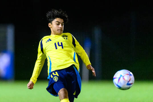 Haami Najafi of Sweden