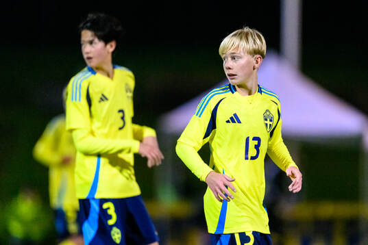 Axel Prim of Sweden